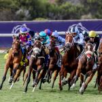 Horses From Five Continents Among 207 Horses Pre-entered for 2025 Breeders’ Cup